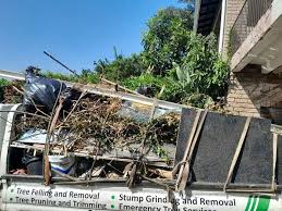 Best Commercial Junk Removal  in Winterset, IA