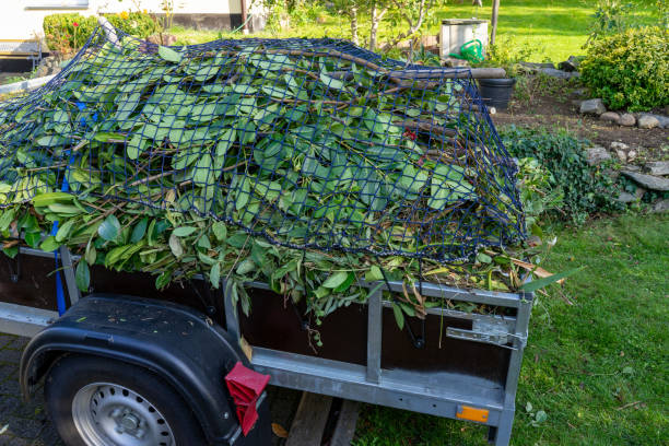 Best Furniture Removal  in Winterset, IA